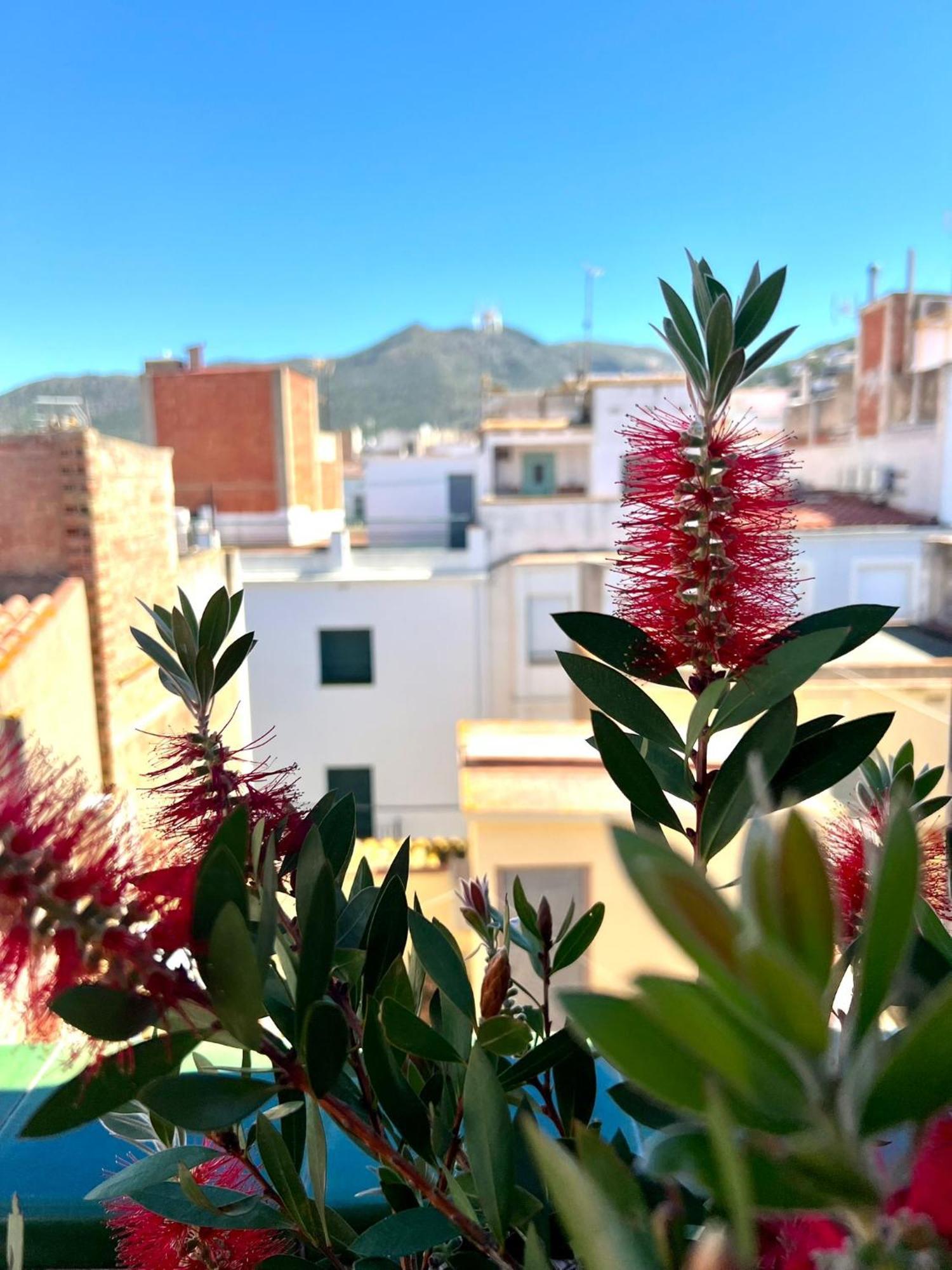 Escondite Central Con Terraza Compartida En La Azotea Roses Buitenkant foto
